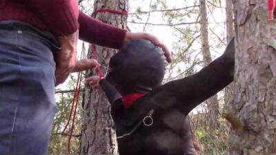 Tied to a tree on a sexy outfit, masked and outdoor deepthroat with no mercy - txxx.com