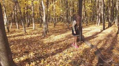 Public Flashing Without Panties In An Autumn Park - upornia.com